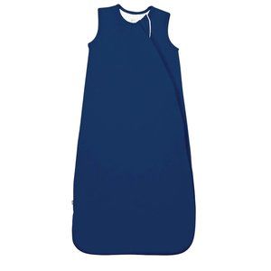 Kyte Baby 2.5 TOG Sleep Bag in Tahoe Blue (Barely Worn)